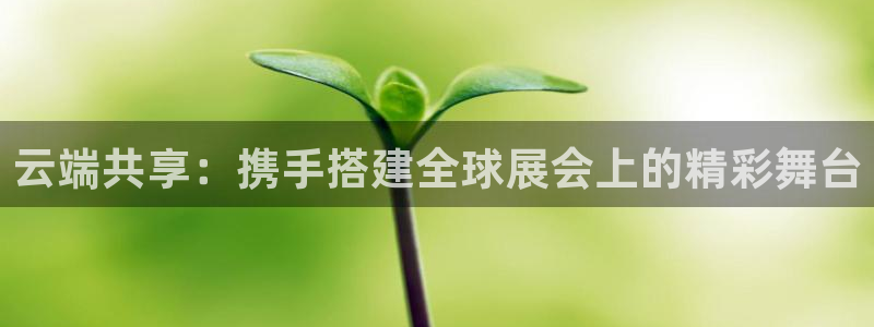 果博真人：云端共享：携手搭建全球展会上的精彩舞台