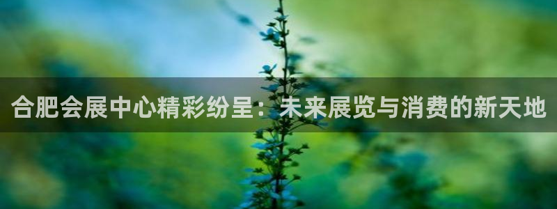果博管理网