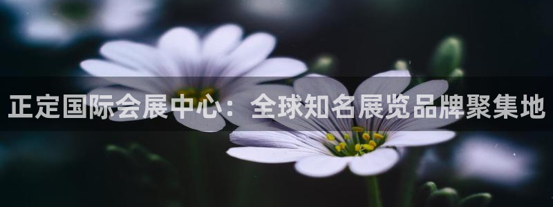 苹果电脑怎么下载博弈大师等软件：正定国际