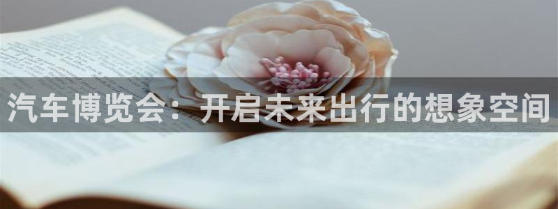 果博公司会员注册账号：汽车博览会：开启未来出行的想象空间