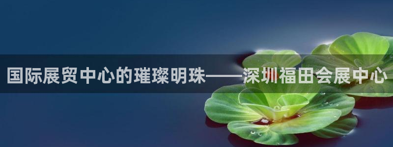 果博怎么注册账号和密码：国际展贸中心的璀璨明珠——深圳福田会展中心