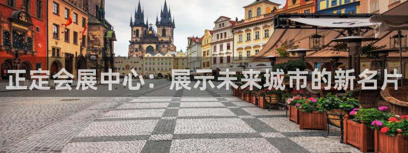 苹果手机能下载果博吗：正定会展中心：展示