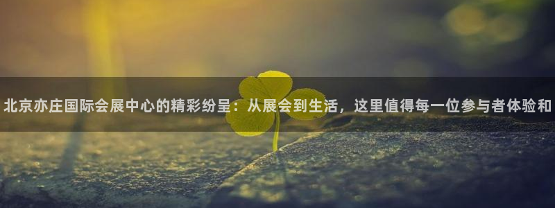 果博集团：北京亦庄国际会展中心的精彩纷呈：从展会到