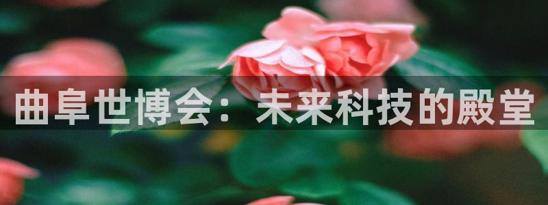 下载果博博东方下载：曲阜世博会：未来科技