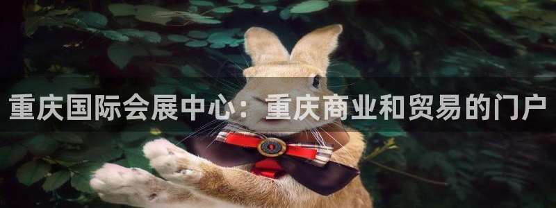 果博集团：重庆国际会展中心：重庆商业和贸