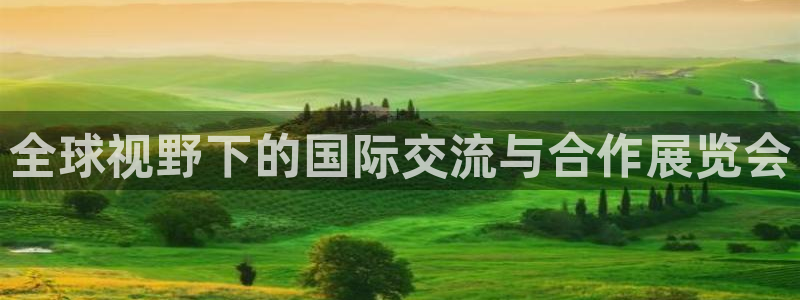 果博公司开户：全球视野下的国际交流与合作