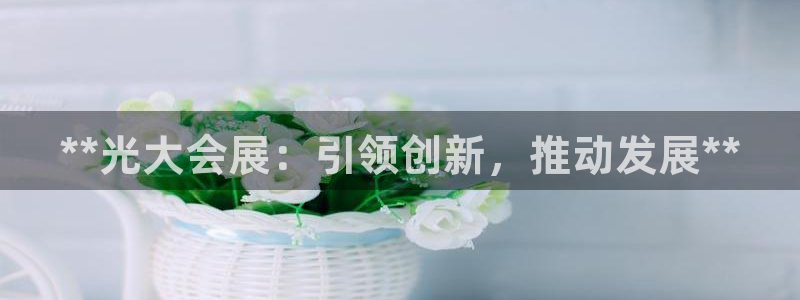 果博公司客服微信怎么加：**光大会展：引领创新，推