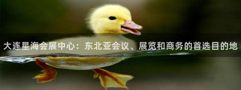 果博代理电话多少：大连星海会展中心：东北