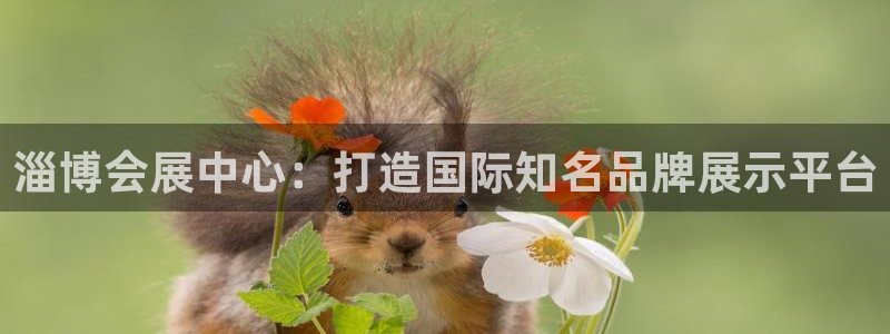 果博是怎么登录的