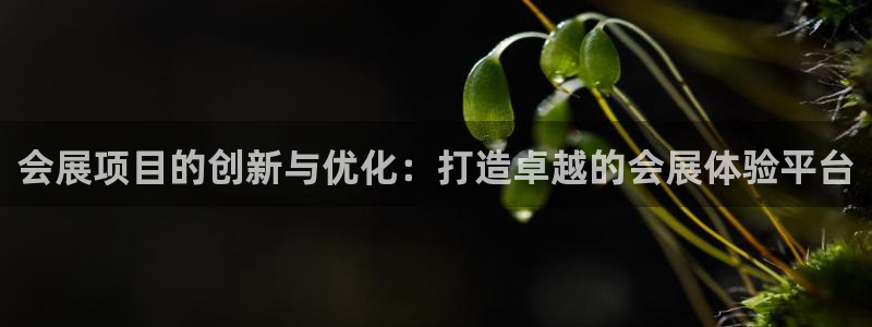 下载果博博东方下载