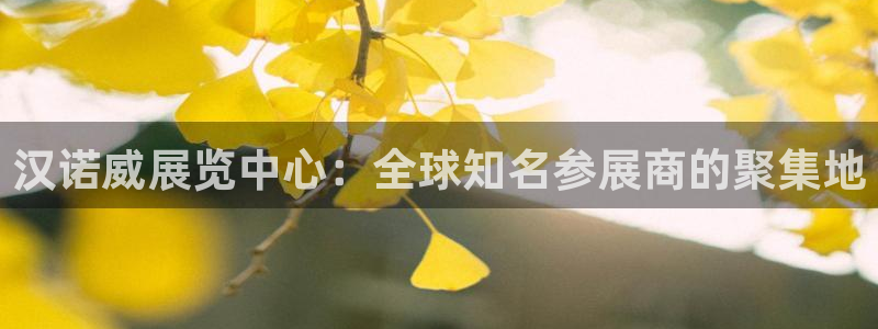 果博平台开户电话号码：汉诺威展览中心：全