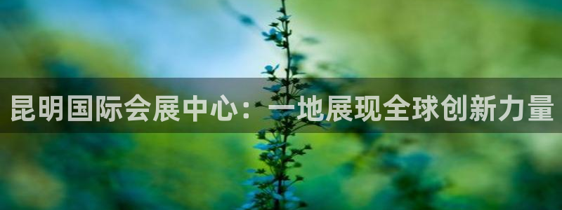 果博公司客服怎么样：昆明国际会展中心：一