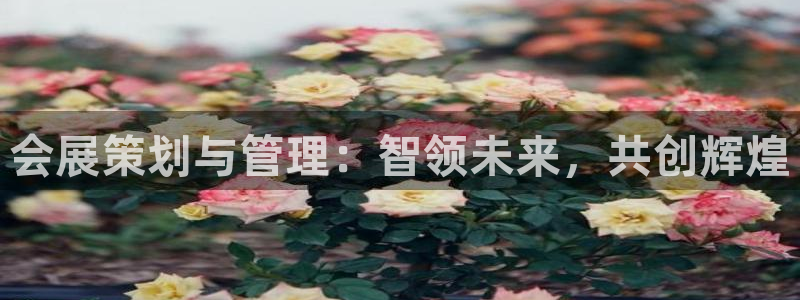 果博手机版官方下载