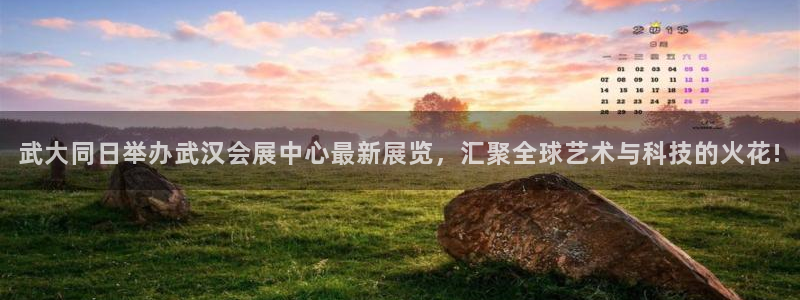 果博客服电话哪里找啊：武大同日举办武汉会