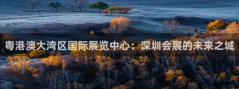 果博公司会员注册账号：粤港澳大湾区国际展