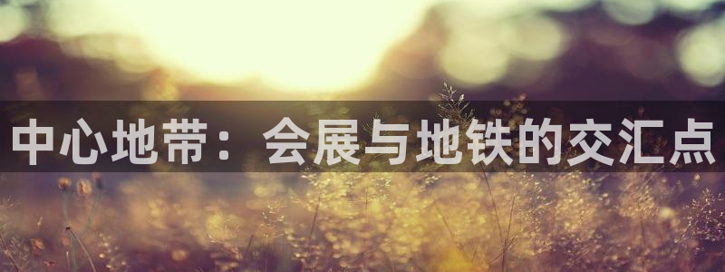 果博官方网：中心地带：会展与地铁的交汇点