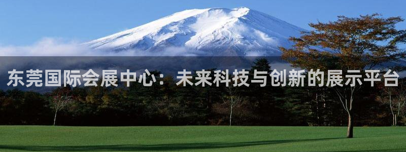 果博公司怎么开户