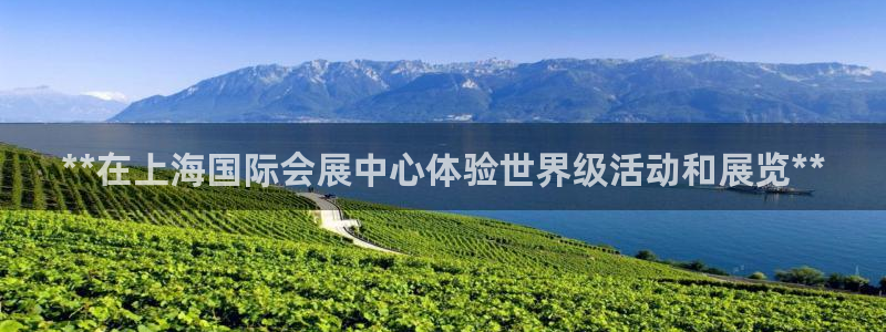 果博官网电话：**在上海国际会展中心体验