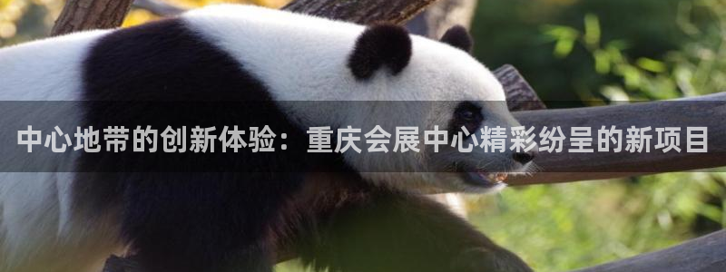 下载果博博东方：中心地带的创新体验：重庆