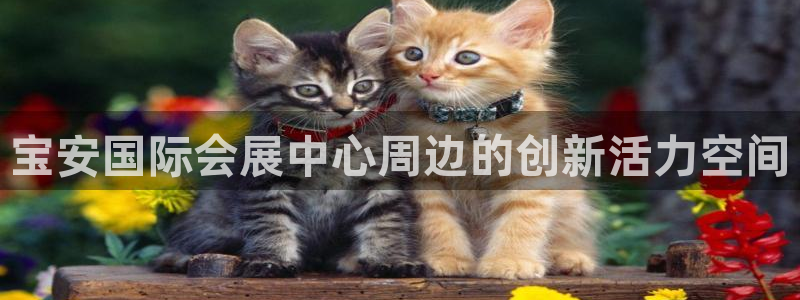 果博集团：宝安国际会展中心周边的创新活力