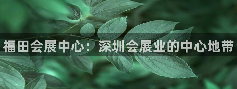 果博平台开户电话查询