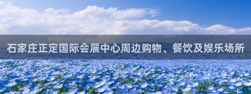 果博公司开户注册：石家庄正定国际会展中心周边购物、餐饮及娱乐场所