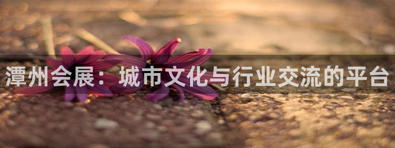 果博平台真实吗安全吗是真的吗：潭州会展：城市文化与行业交流的平台