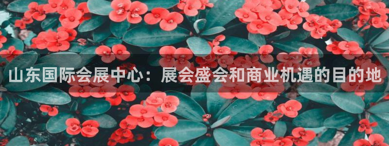 果博注册电话：山东国际会展中心：展会盛会和商业机遇的目的地