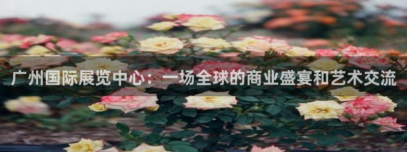 果博注册平台怎么注册的