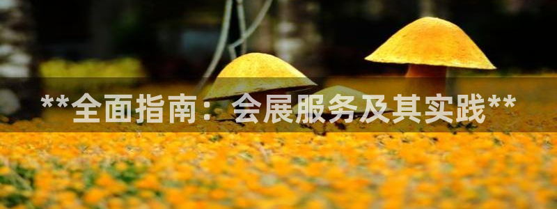 果博电话：**全面指南：会展服务及其实践**