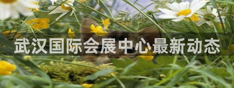 果博东官方网站怎么下载：武汉国际会展中心最新动态