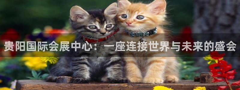 果博平台客服电话：贵阳国际会展中心：一座