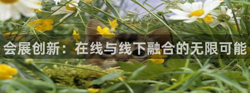 果博代理电话多少号码：会展创新：在线与线下融合的无限可能