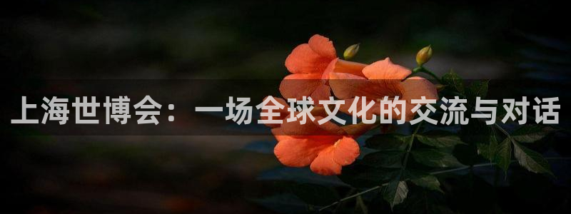 果博注册会员：上海世博会：一场全球文化的交流与对话