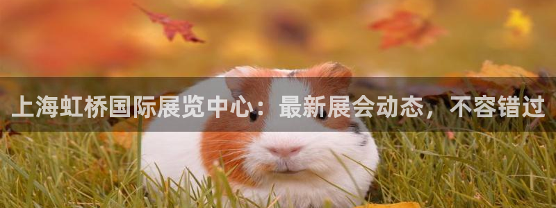 果博平台真实吗：上海虹桥国际展览中心：最新展会动态，不容错过