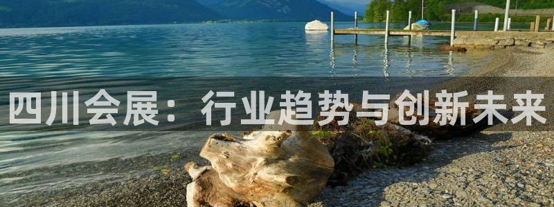 果博公司会员怎么开户：四川会展：行业趋势