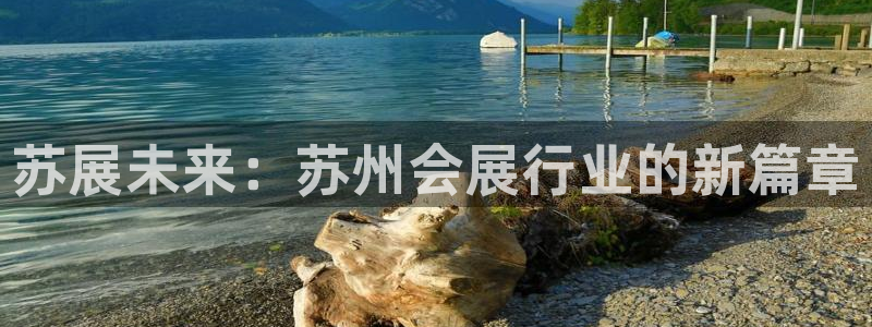果博注册平台怎么注册不了：苏展未来：苏州会展行业的新篇章