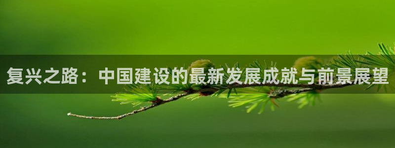 果博注册客服电话是多少号：复兴之路：中国建设的最新发展成就与前景展望