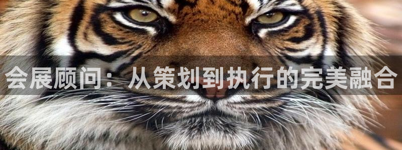 果博注册充值多少钱：会展顾问：从策划到执行的完美融合