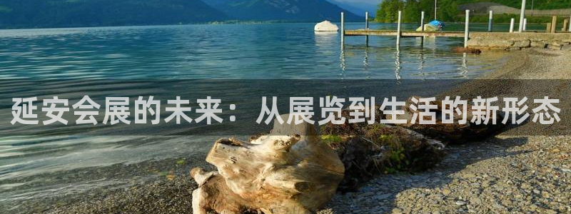 果博平台真实吗安全吗可信吗是真的吗：延安会展的未来：从展览到生活的新形态