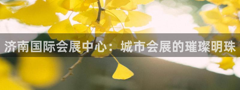 果博官网客服：济南国际会展中心：城市会展的璀璨明珠