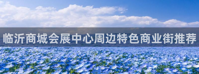 果博注册客服电话：临沂商城会展中心周边特