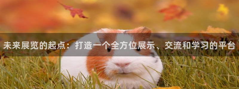 果博官网客服电话号码：未来展览的起点：打