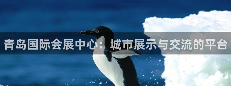 果博平台开户电话号码：青岛国际会展中心：城市展示与交流的平台