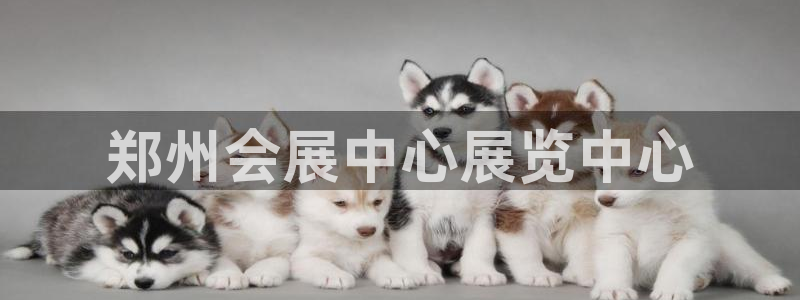 果博平台真实吗安全吗可信吗：郑州会展中心展览中心