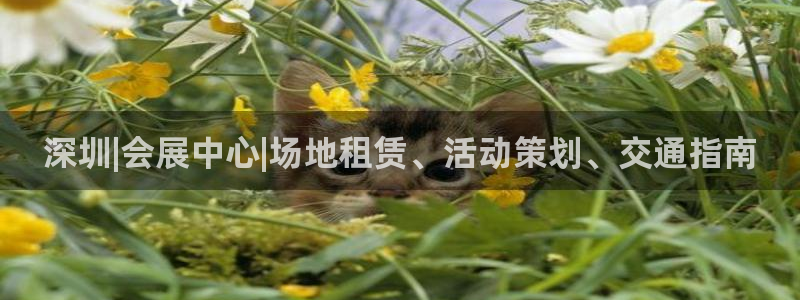 果博手机版官方下载：深圳|会展中心|场地租赁、活动策划、交通指南