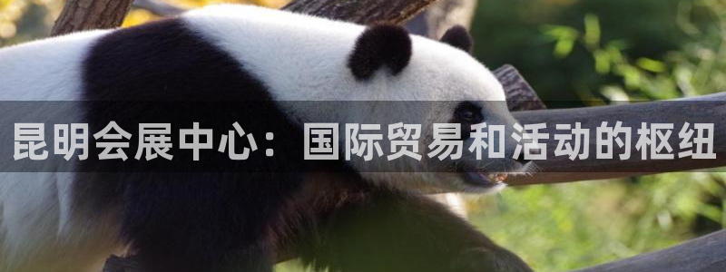 果博官网客服电话号码是多少：昆明会展中心