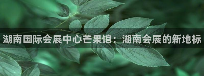 果博公司会员怎么开户：湖南国际会展中心芒