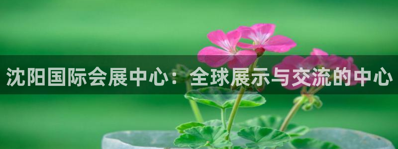 果博官网客服电话号码查询：沈阳国际会展中