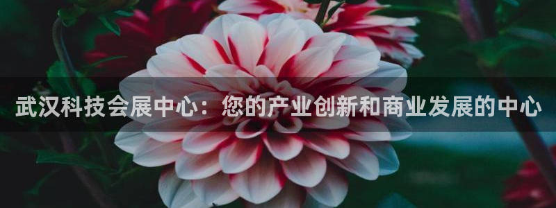 果博注册充值怎么充：武汉科技会展中心：您的产业创新